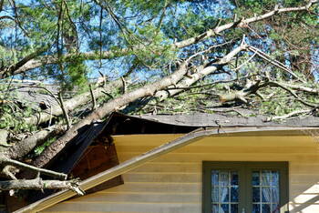 Storm Damage in Daisy, Missouri by Mo Roofing & Construction